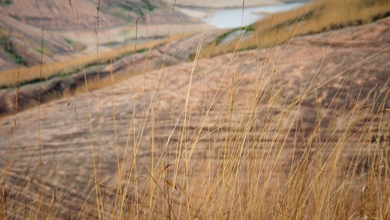 DSC_0275