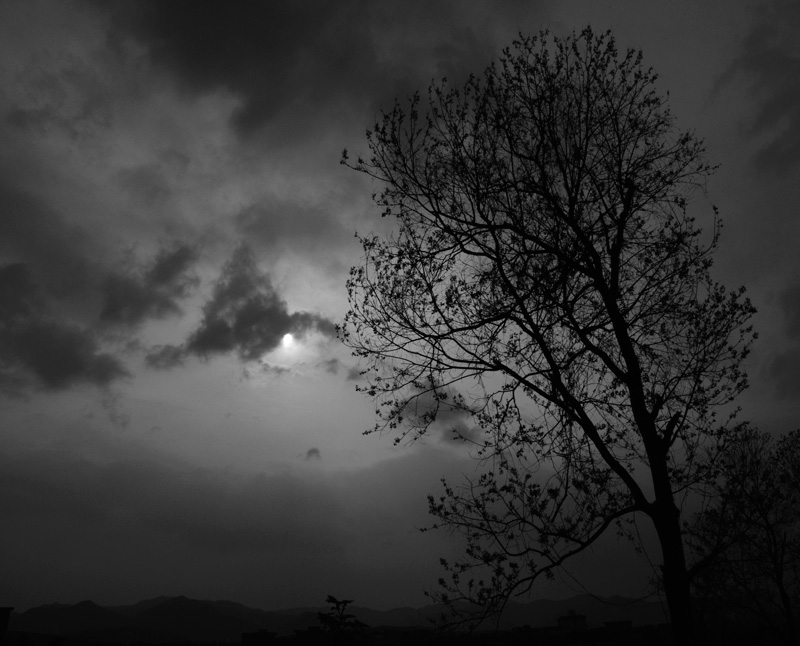 DSC_0550a