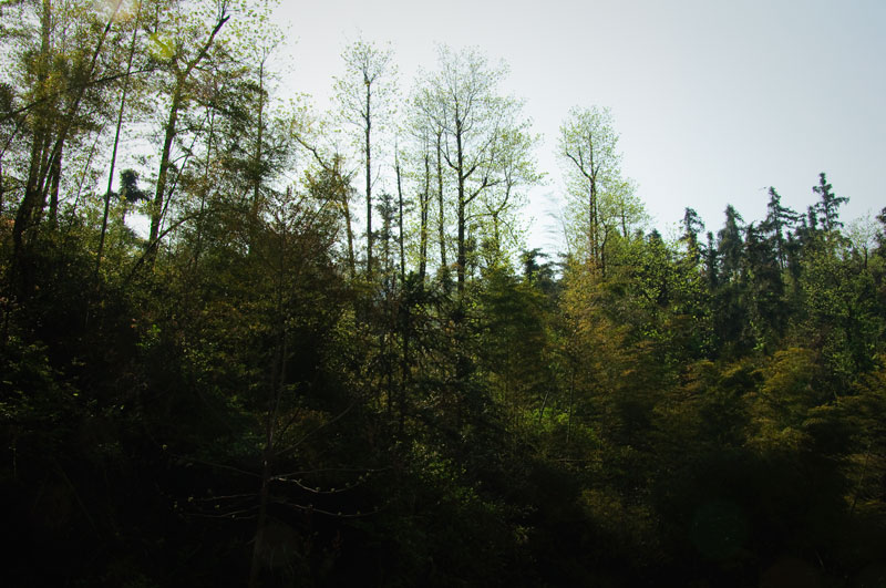 DSC_0020