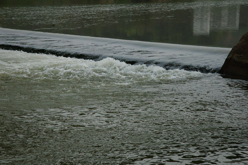 DSC_0231
