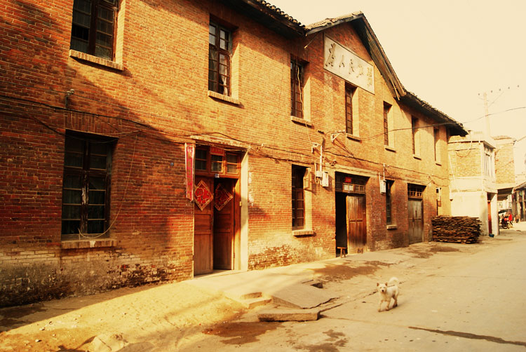 DSC01709