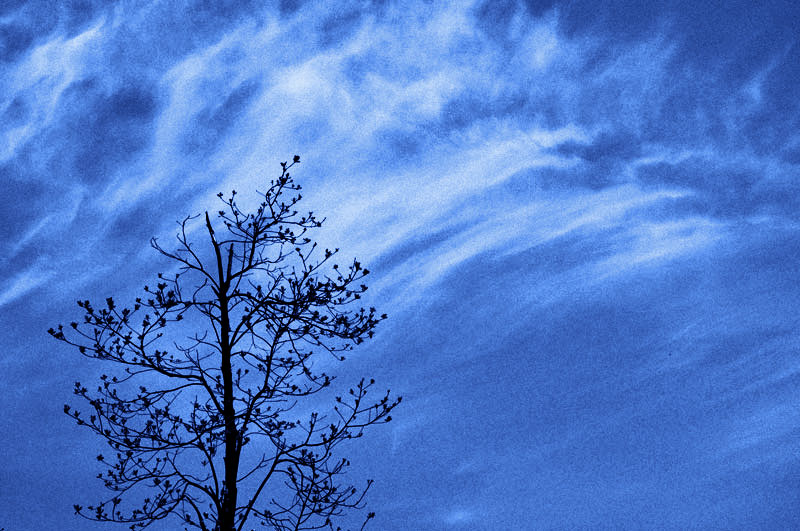 DSC_0164aaa