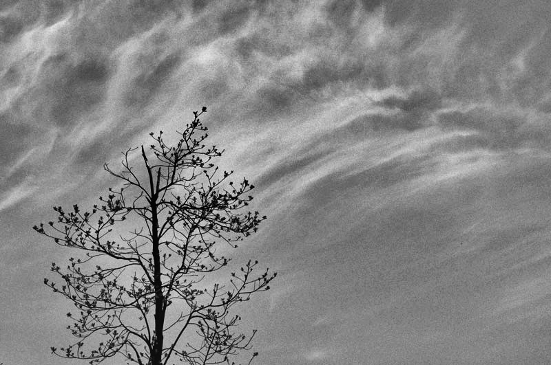 DSC_0164a